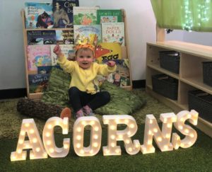 Celebrating 31 Years of Acorns