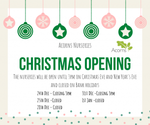 Christmas OPening Hours